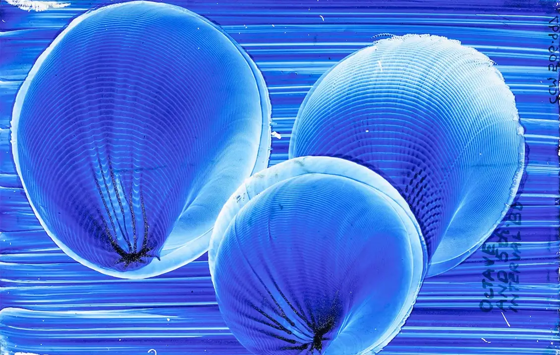 Impression Figure by Margaret Watts Hughes